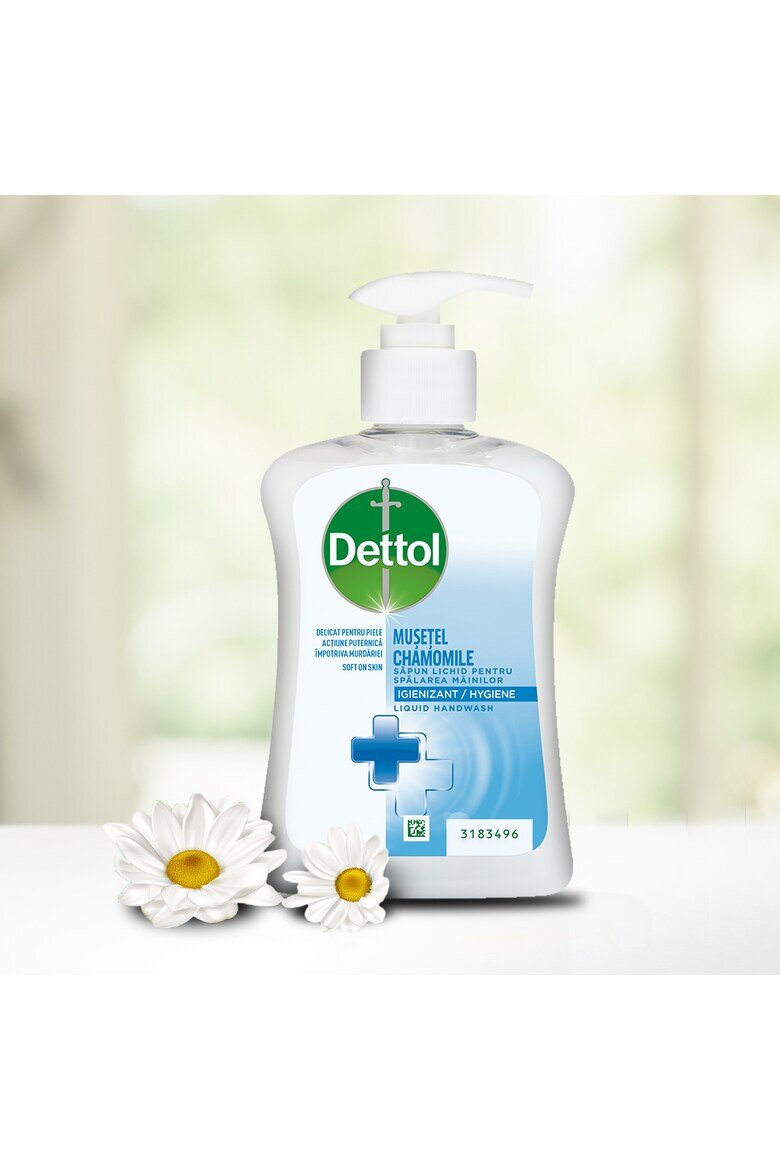 Dettol Течен сапун 6 х 250 мл Лайка