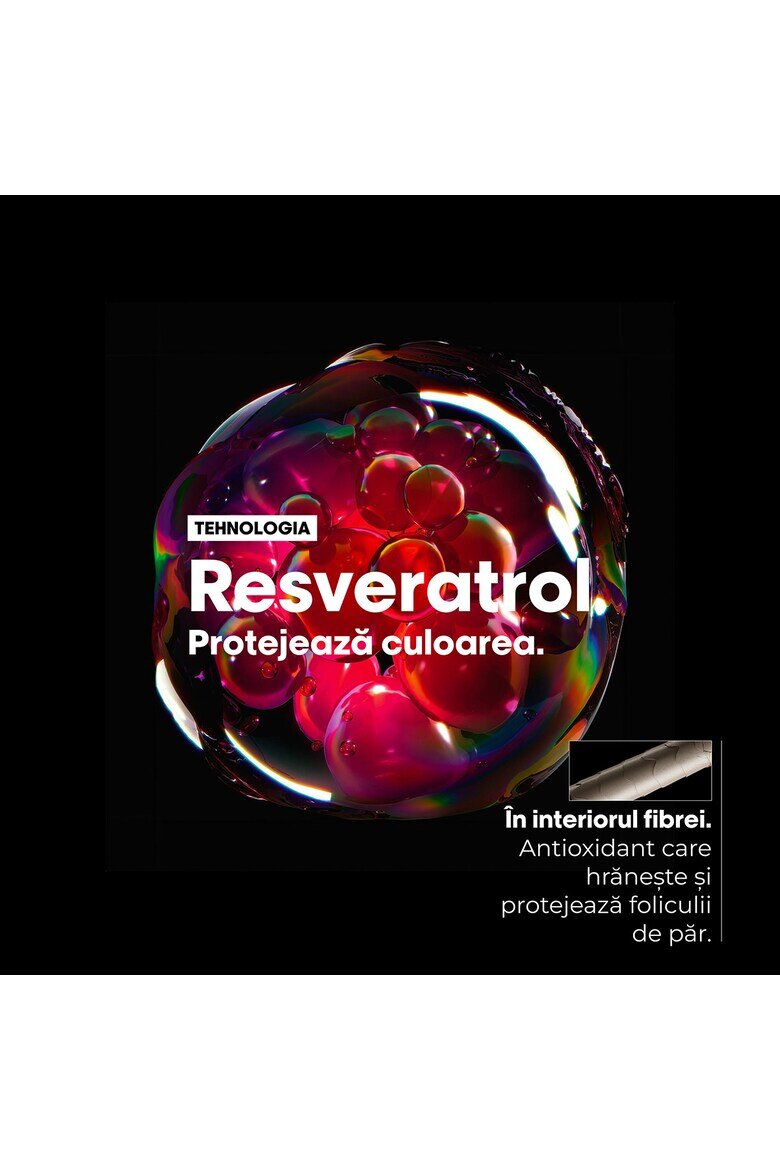 L'Oreal Professionnel Професионален рутинен комплект 250мл Боядисана/Светъл цвят/Тъмен цвят