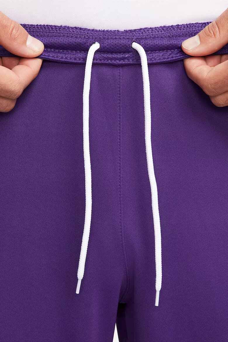 Nike Футболни шорти Park III с Dri-FIT Аметист