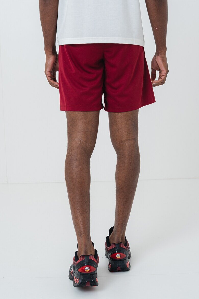 Nike Футболни шорти Park III с Dri-FIT Бордо