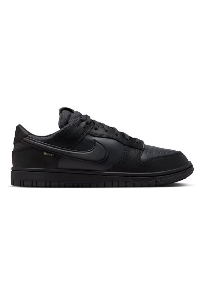Nike Маратонки DUNK LOW GTX-HQ2053-001