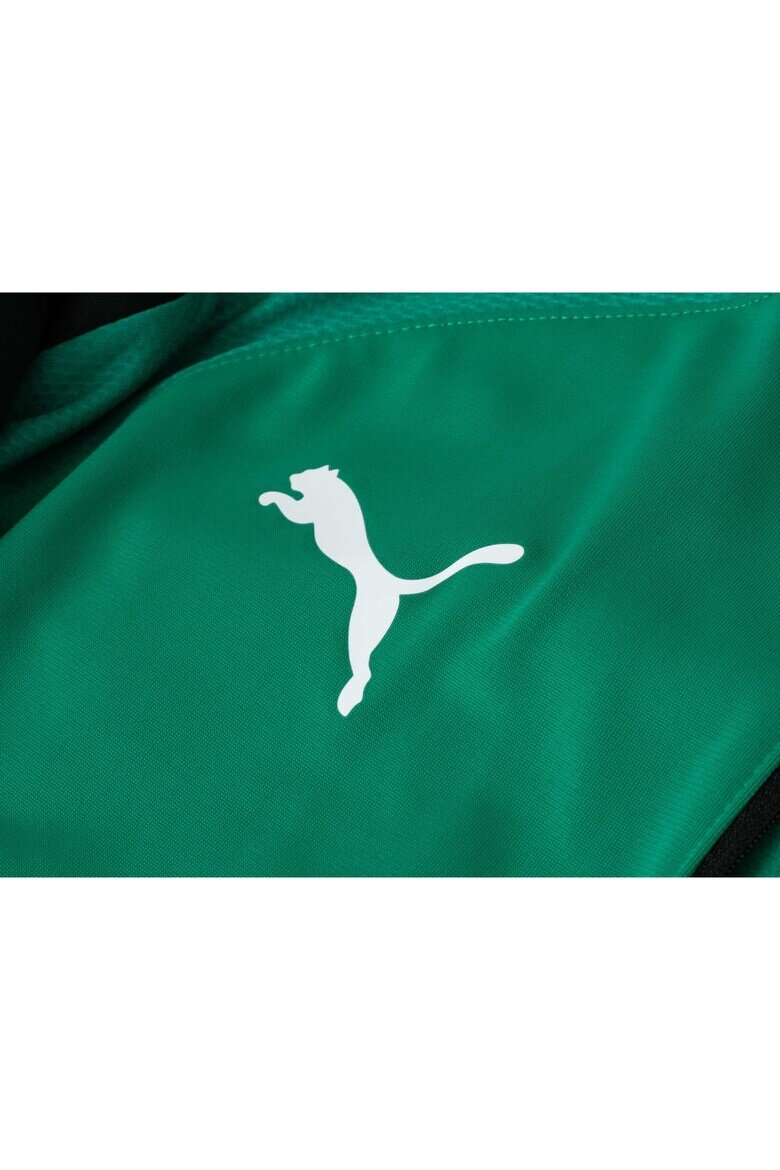 Puma Мъжка спортна блуза TEAMLIGA 1/4 ZIP TOP зелен