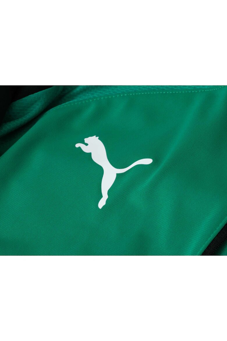 Puma Мъжка спортна блуза TEAMLIGA 1/4 ZIP TOP зелена
