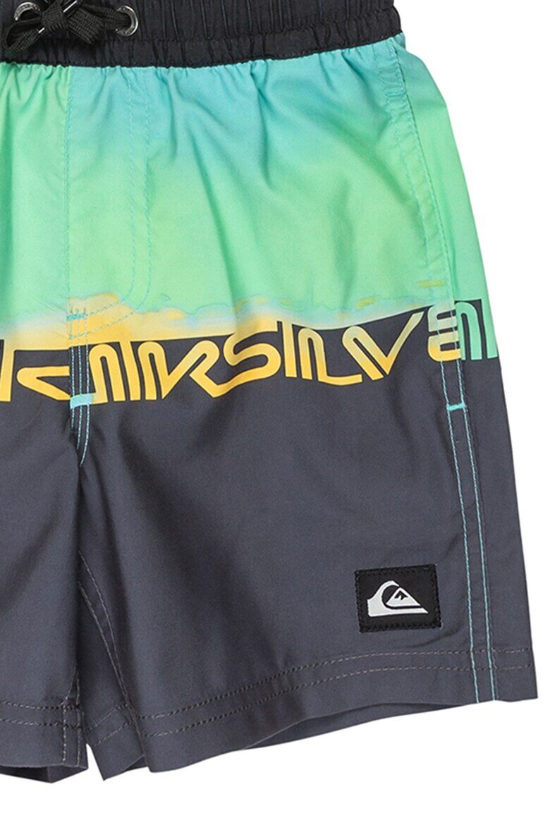 QUIKSILVER Плувни шорти Everyday с лого Зелен/Антрацитно сиво