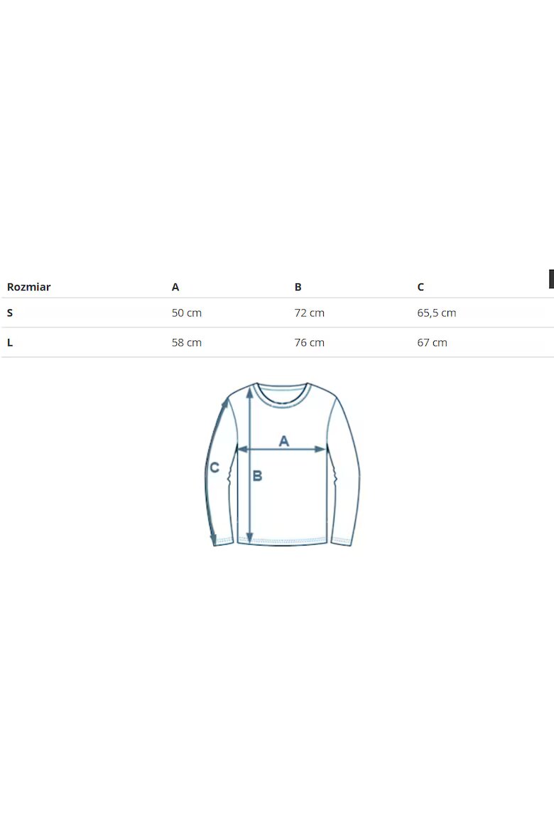 Reebok Мъжка блуза H44119 полиамид/полиестер каки