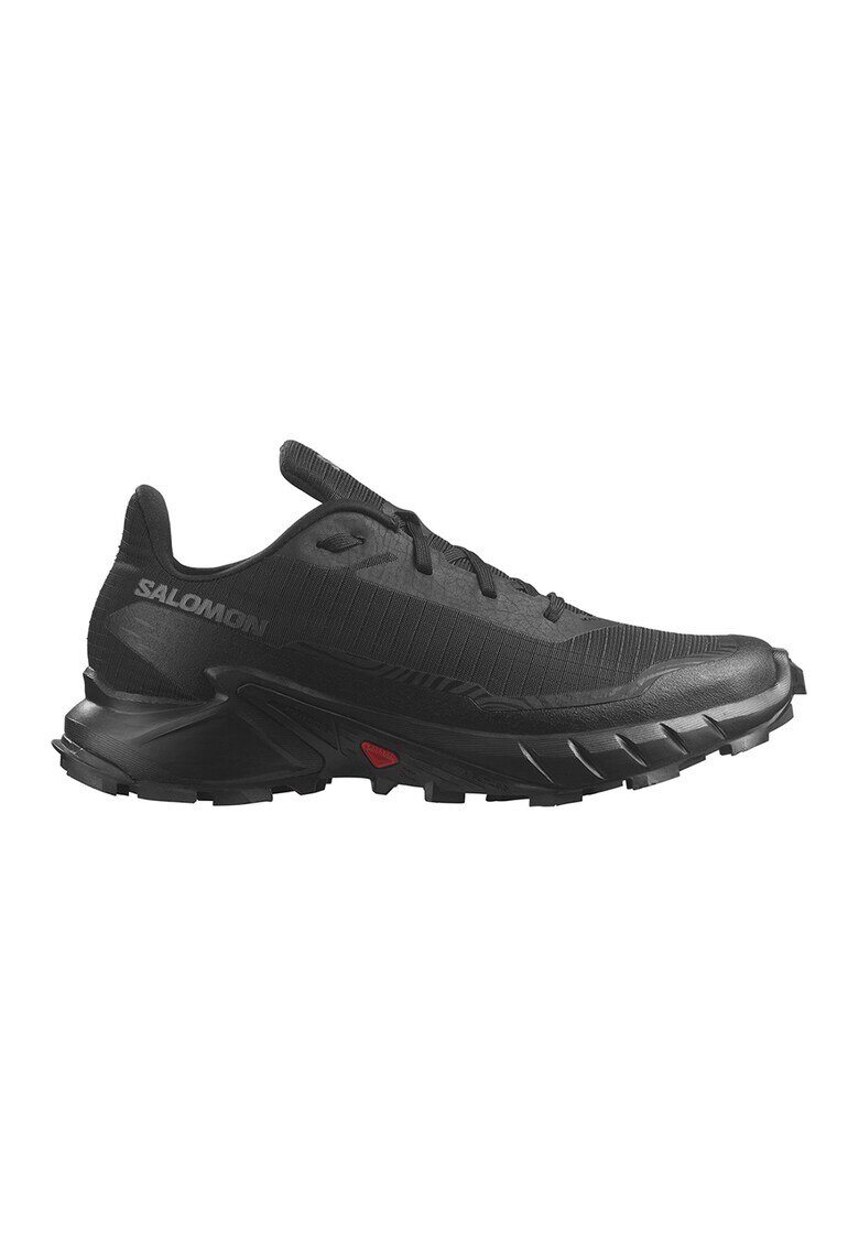 Salomon Обувки за бягане Alphacross 5