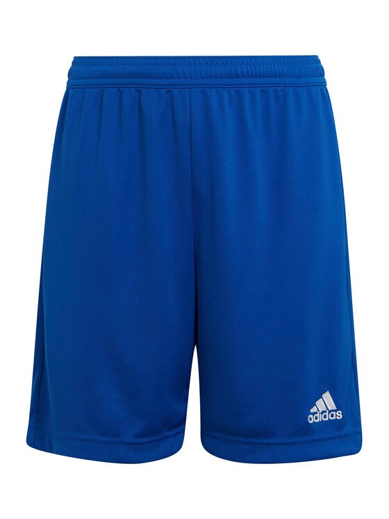 adidas Спортни шорти Entrada 22 HG6291 Син Regular Fit