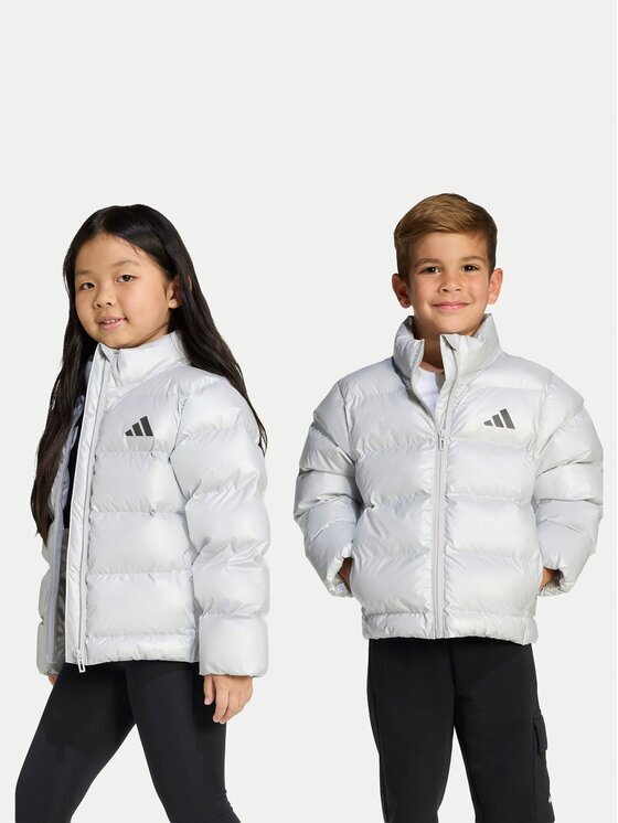 adidas Зимно яке JW2474 Сребрист Regular Fit