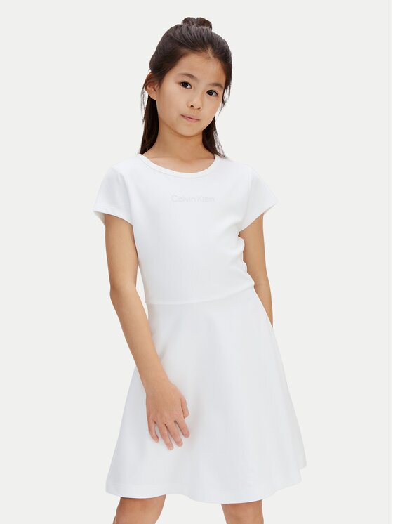 CALVIN KLEIN Ежедневна рокля Skater LVCKSJH02G Regular Fit