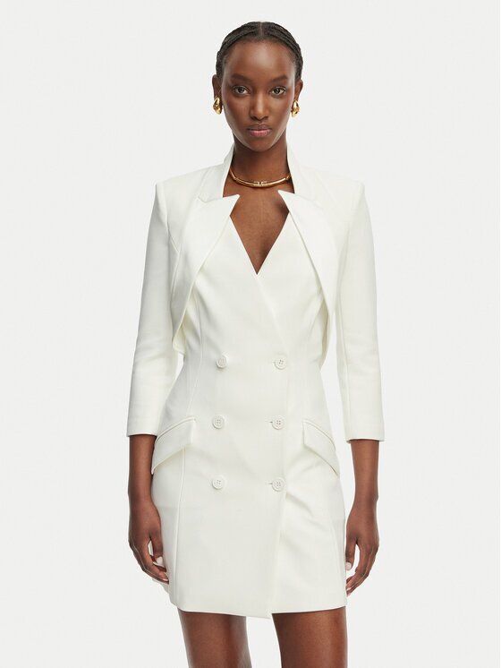 Elisabetta Franchi Коктейлна рокля AB-925-61E2-V450 Regular Fit
