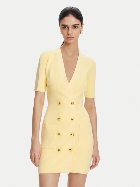 Elisabetta Franchi Плетена рокля AM-66S-51E2 Regular Fit