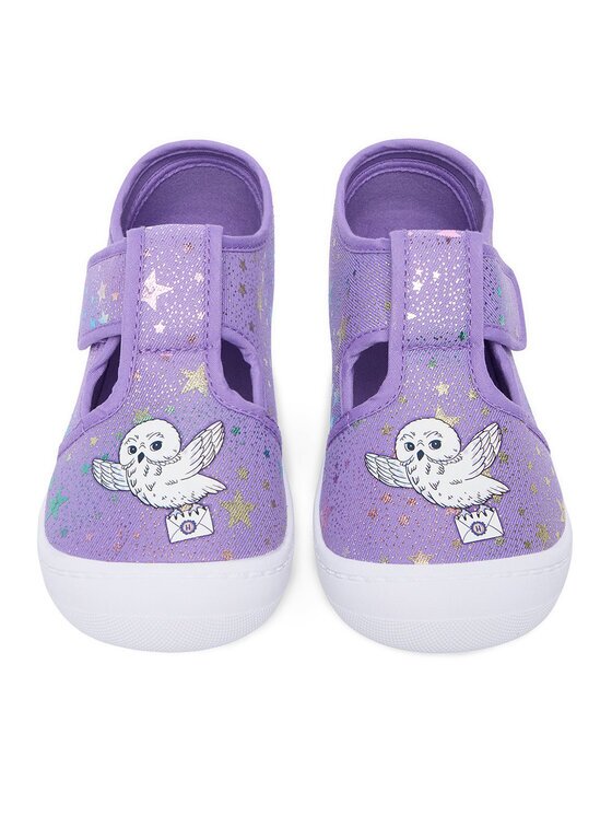 Harry Potter Пантофи CEO-CM-AW26-216WBHP