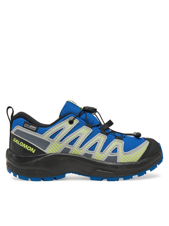 Salomon Туристически Xa Pro V8 Waterproof L47729300