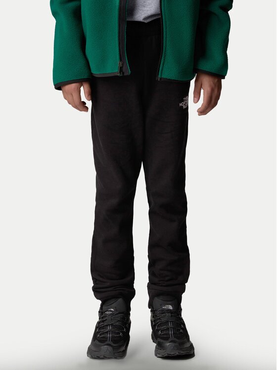 The North Face Долнище анцуг NF0A89PD Regular Fit