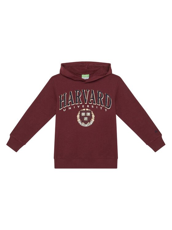 United Colors of Benetton Суитшърт 32N4C204U Regular Fit